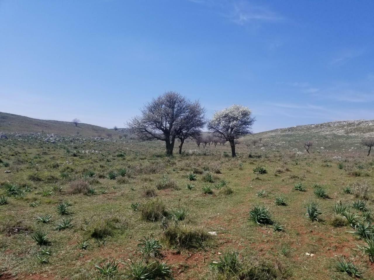 Apartments Rezidenca Sinani אוריקום מראה חיצוני תמונה